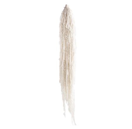 Amaranthus Caudatus White Per Bunch