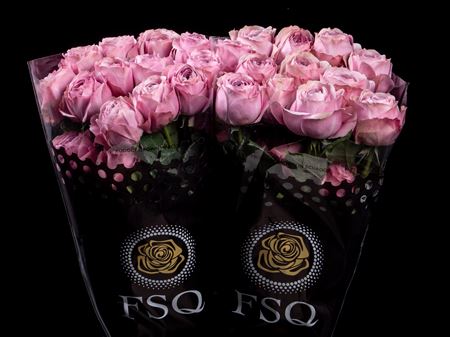 R Gr Gar Peonikiss