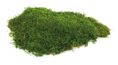 Flatmoss Preserved 2,5kg