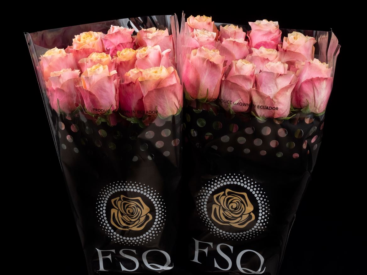 Rosa Gran Donna 60cm