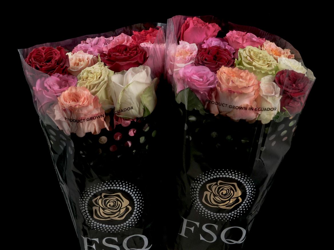 Rosa Rainbow Mix 40cm