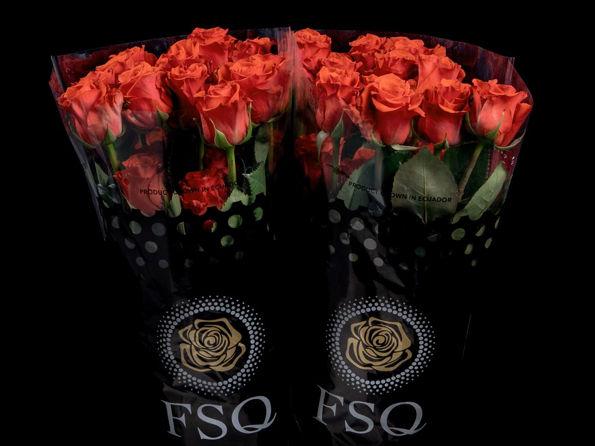 Rosa Orange Crown 60cm