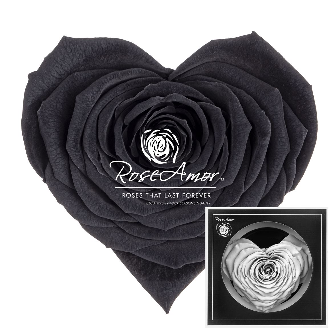 Rosa Preserved Corazon Bla01 9,5cm Hd