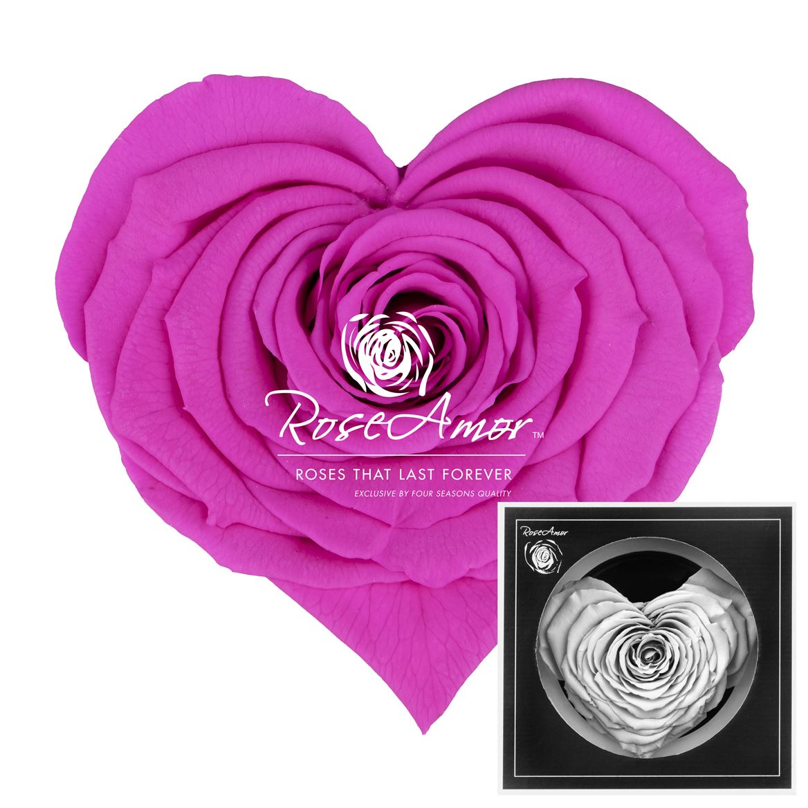 Rosa Preserved Corazon Pin07 9,5cm Hd