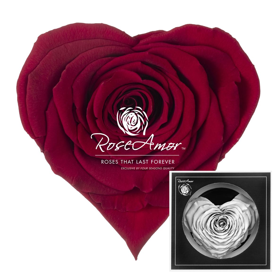 Rosa Preserved Corazon Red01 9,5cm Hd