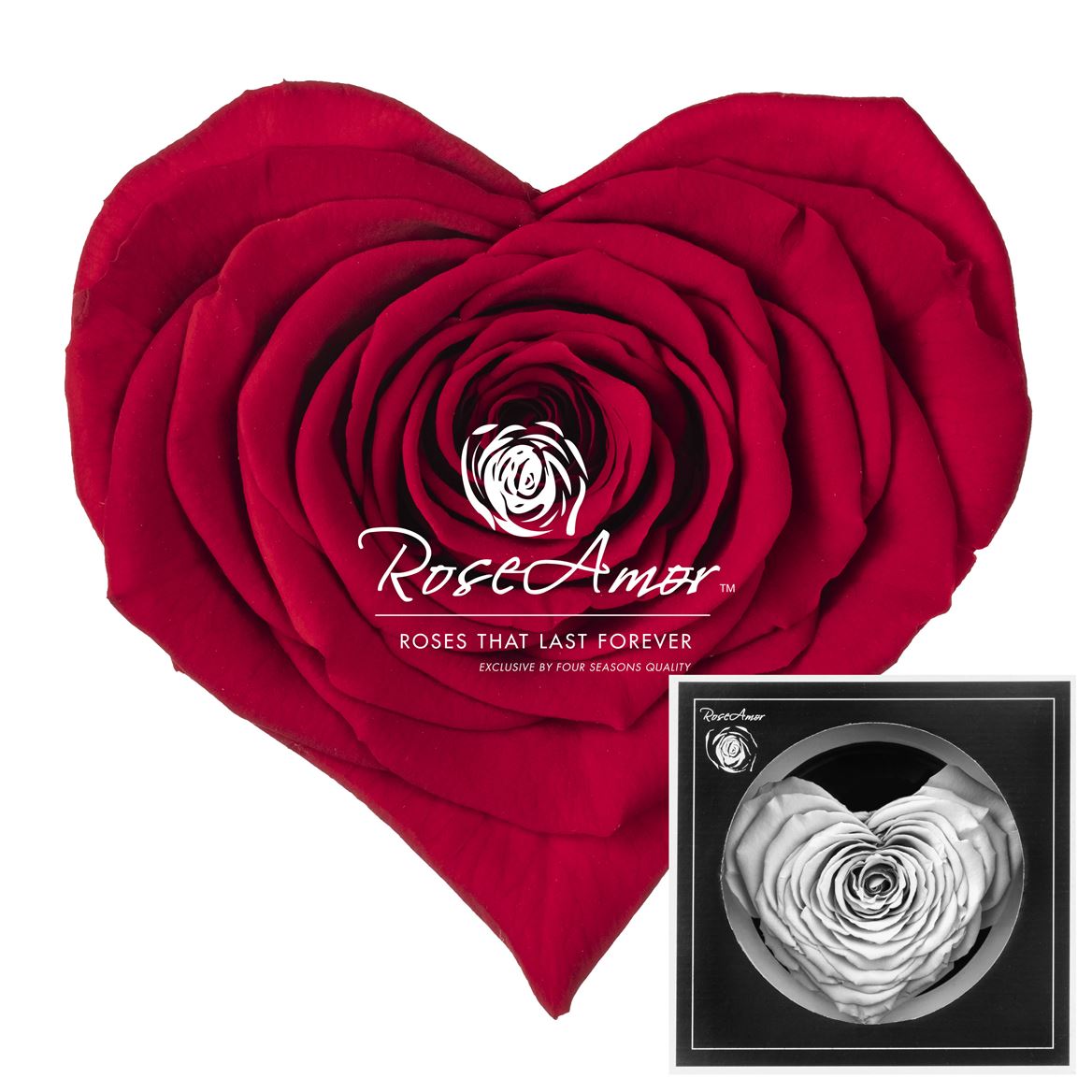 Rosa Preserved Corazon Red02 9,5cm Hd