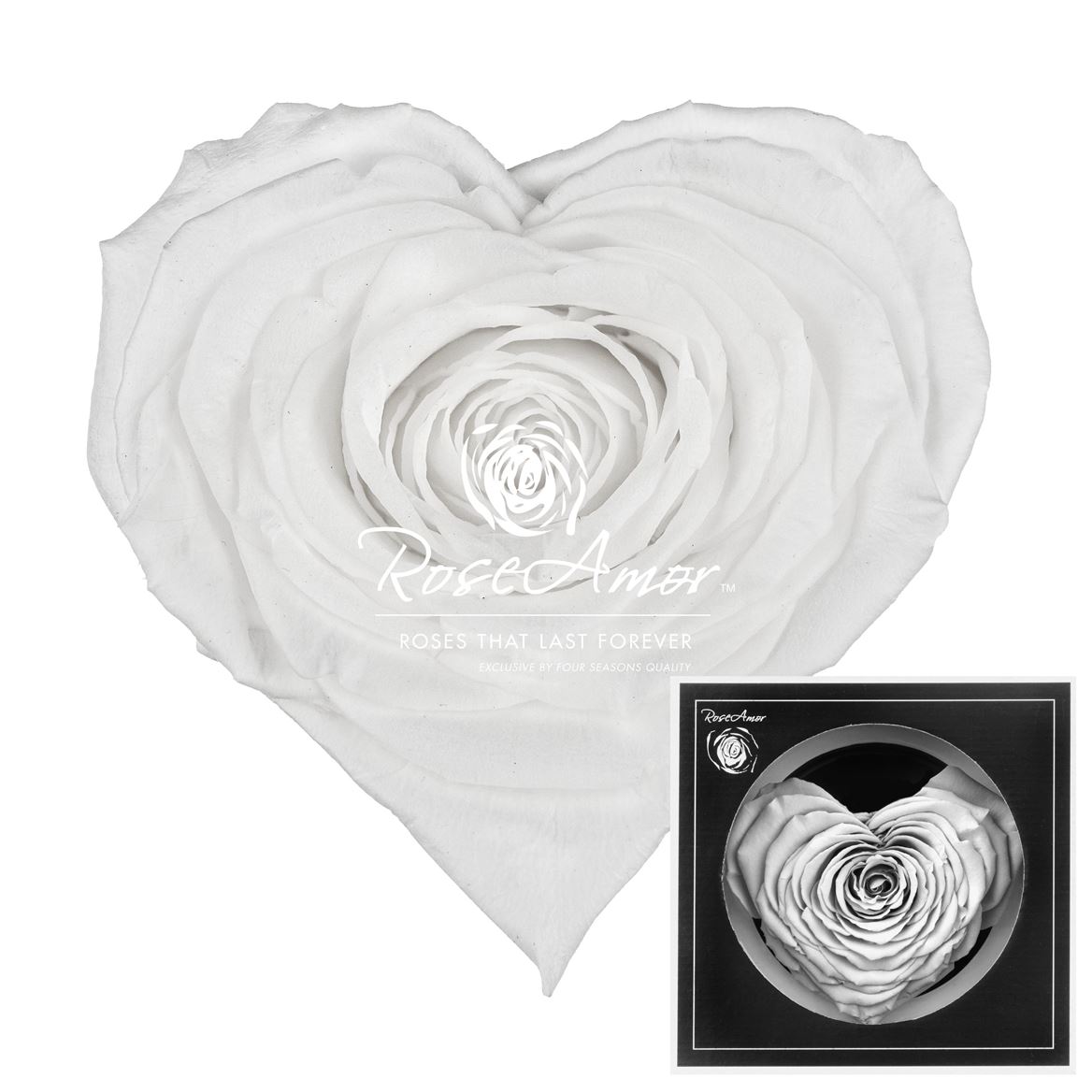 Rosa Preserved Corazon Whi01 9,5cm Hd