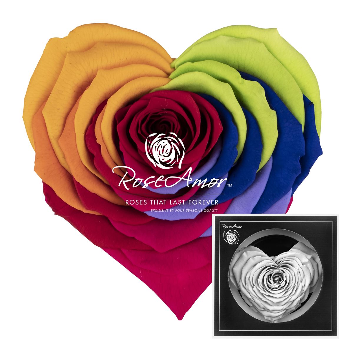 Rosa Preserved Corazon Rainbow Red02 9,5cm Hd