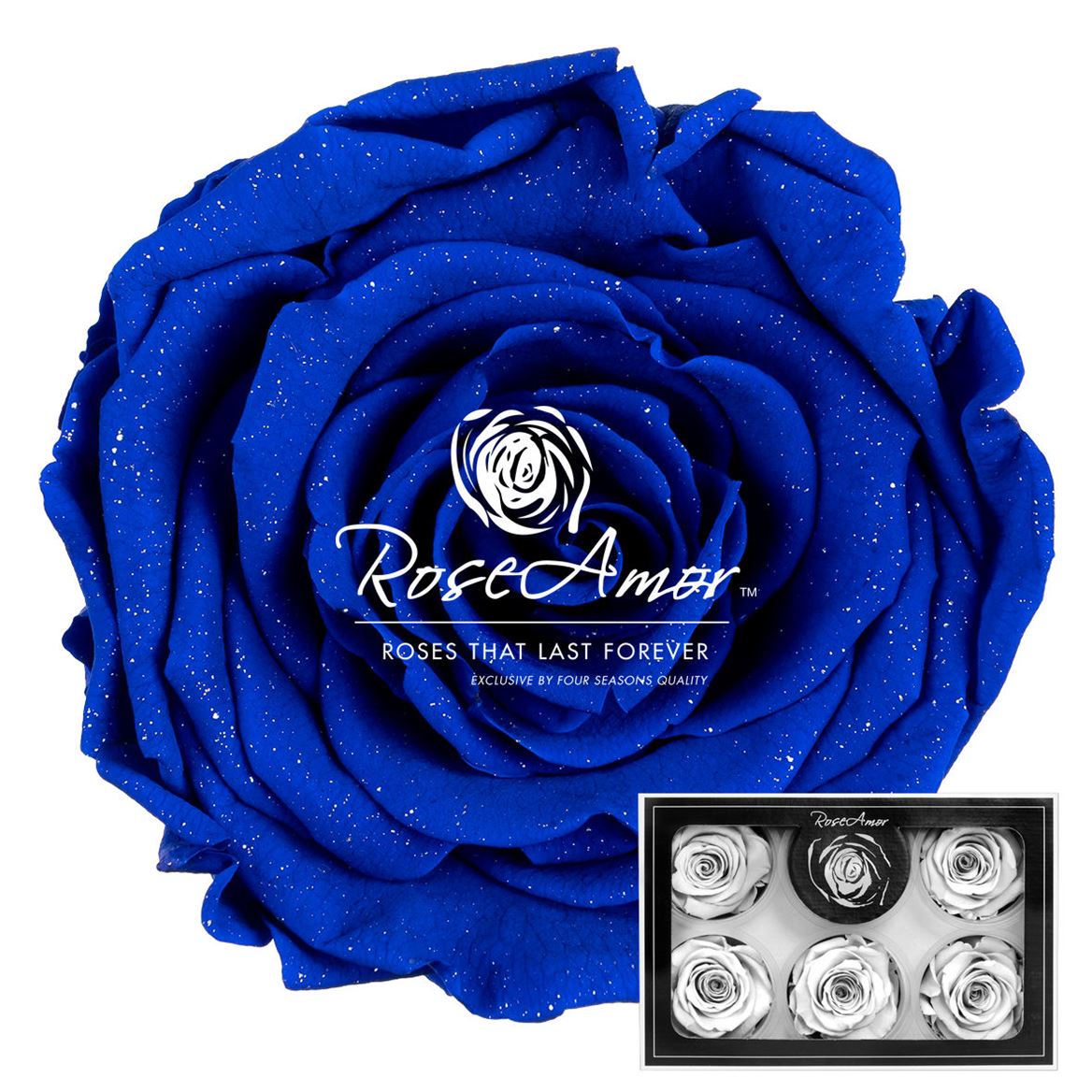 Rosa Preserved Xl Diamond Dust Blu03 6cm Hd