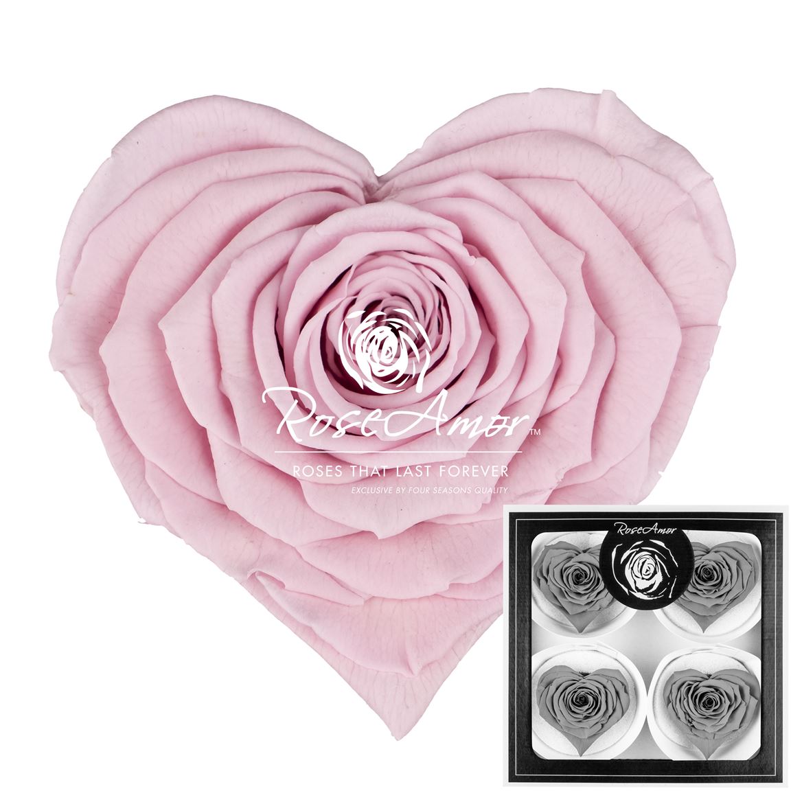 Rosa Preserved Corazon Bella Pin04 7cm Hd