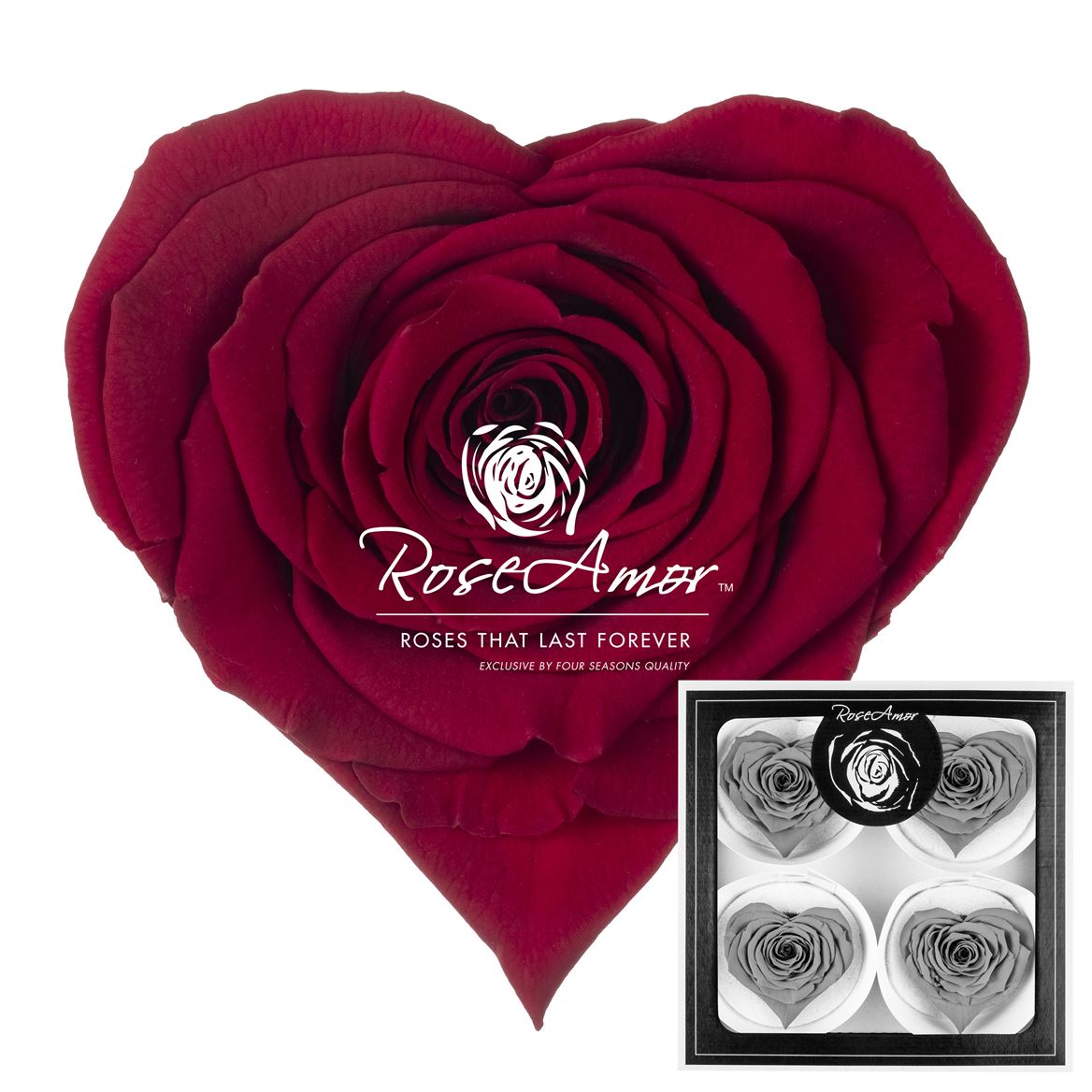 Rosa Preserved Corazon Bella Red01 7cm Hd