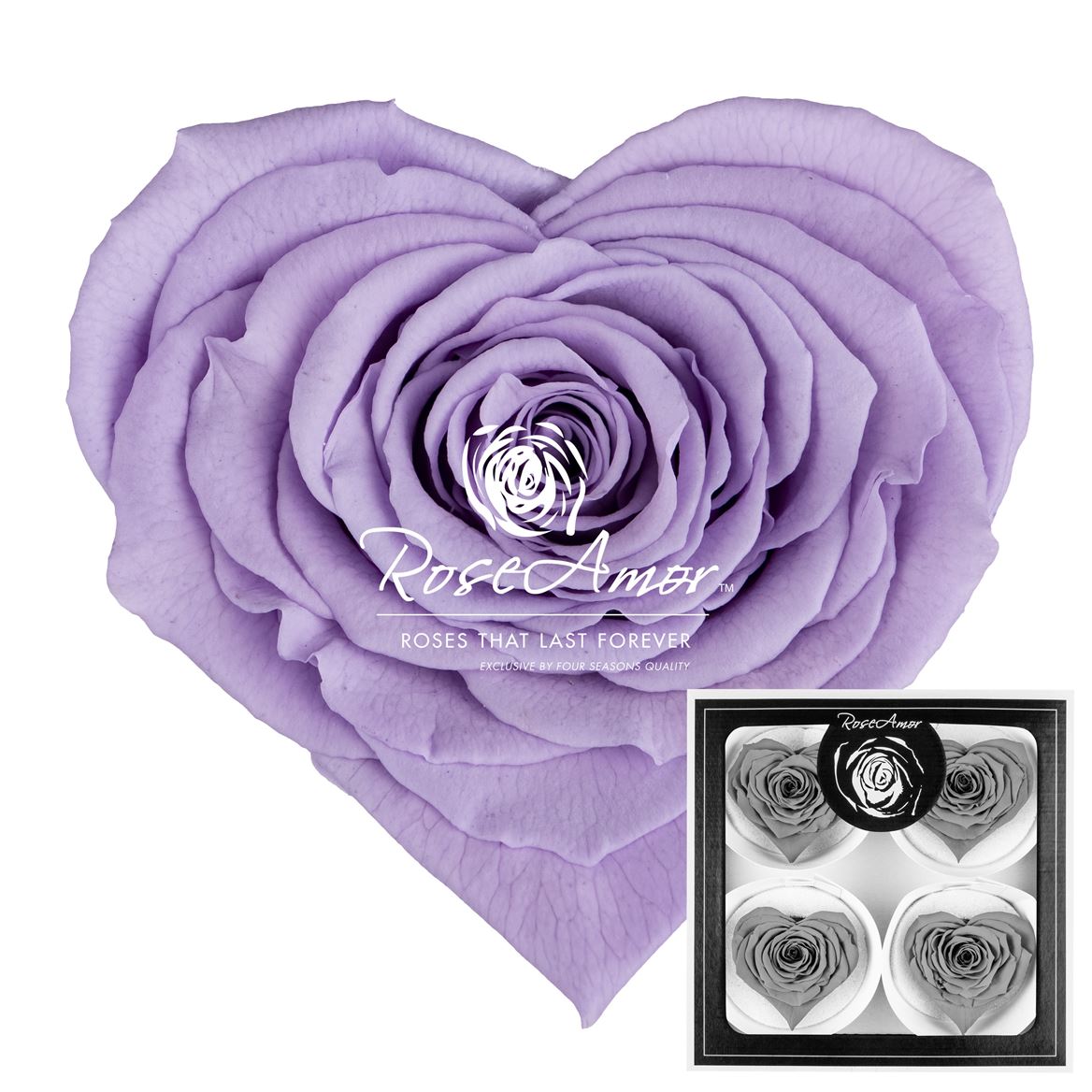 Rosa Preserved Corazon Bella Vio03 7cm Hd