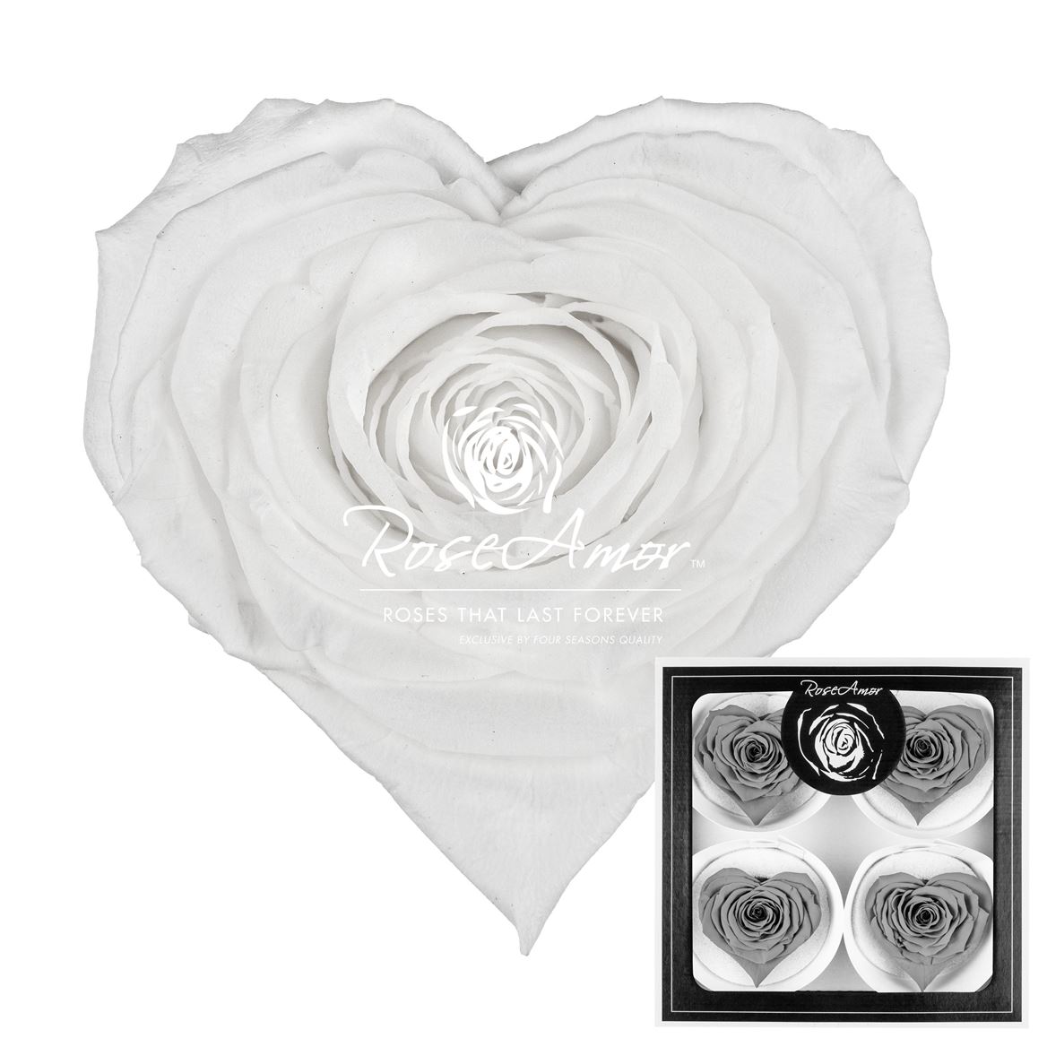 Rosa Preserved Corazon Bella Whi01 7cm Hd