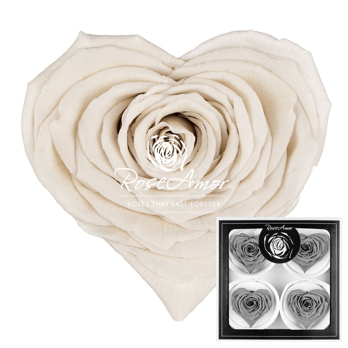 Rosa Preserved Corazon Bella Whi04 7cm Hd
