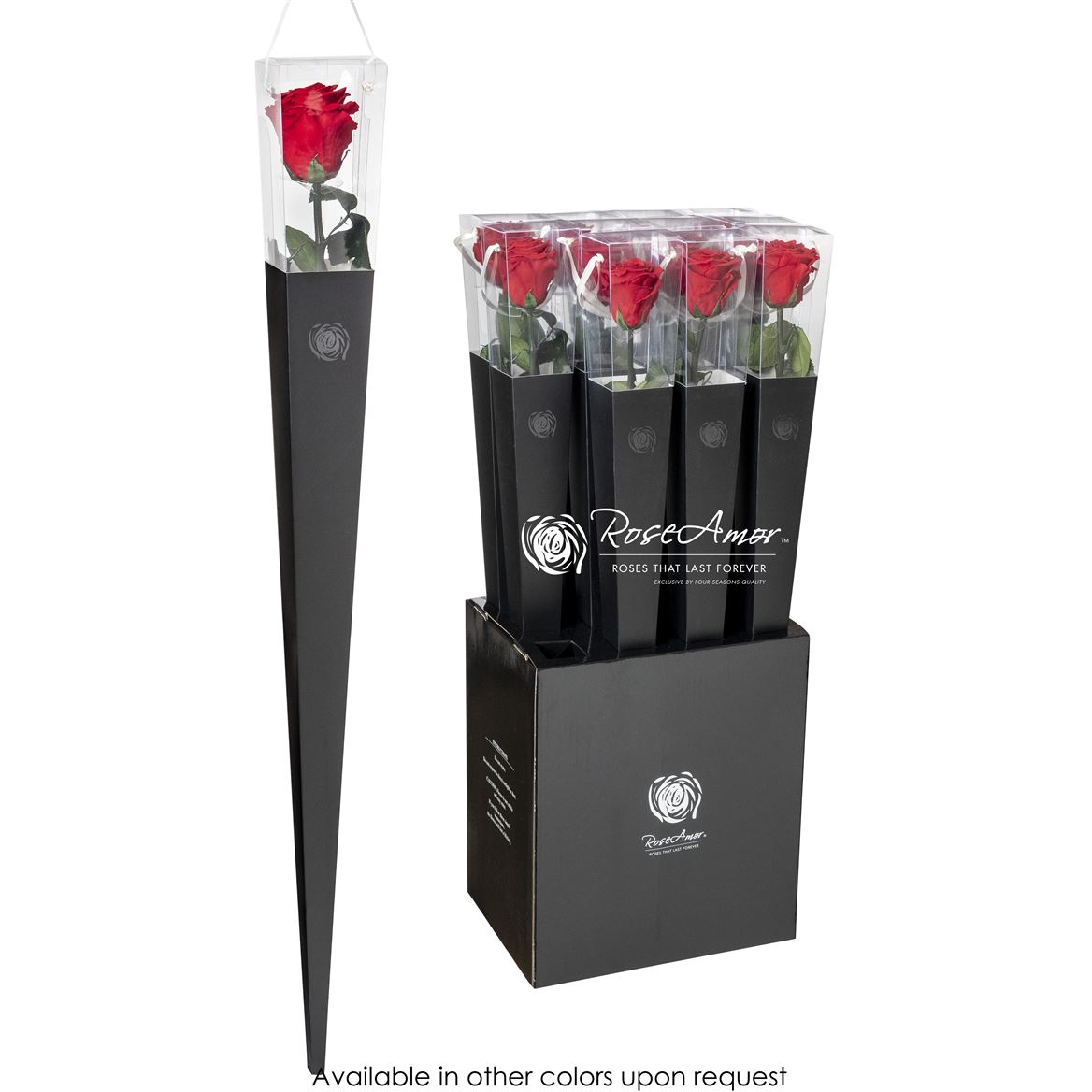 Rosa Preserved Stem Lori Red02 70cm 6cm Hd