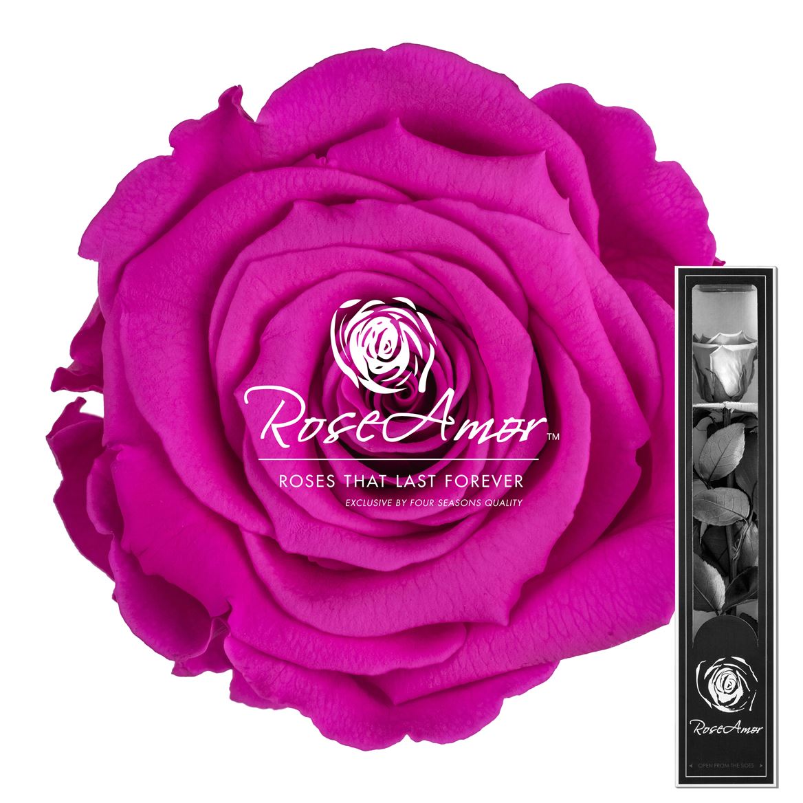 Rosa Preserved Stem Pin07 30cm 5cm Hd