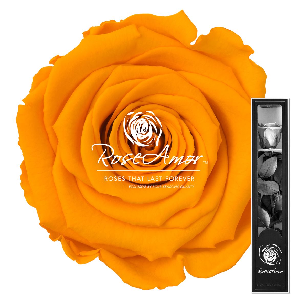 Rosa Preserved Stem Yel04 30cm 5cm Hd