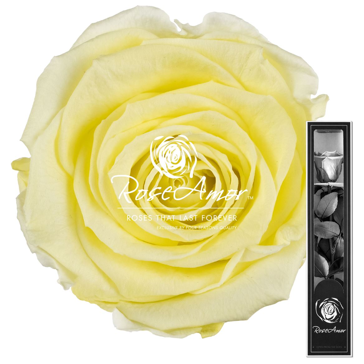 Rosa Preserved Stem Yel89 30cm 5cm Hd