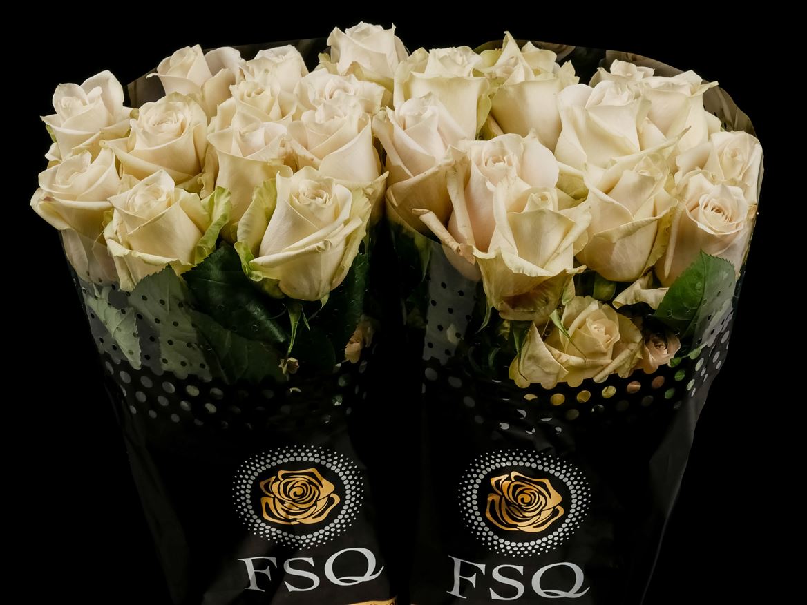 Rosa Sandy 50cm