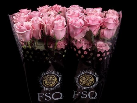 R Gr Think Pink