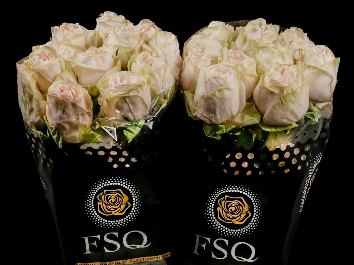 Rosa Wedding Rose 50cm