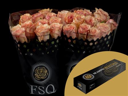 R Gr Desert Rose Box