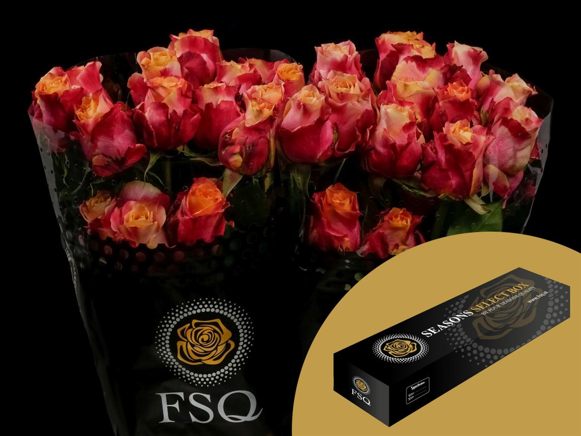 Rosa 3D 50cm