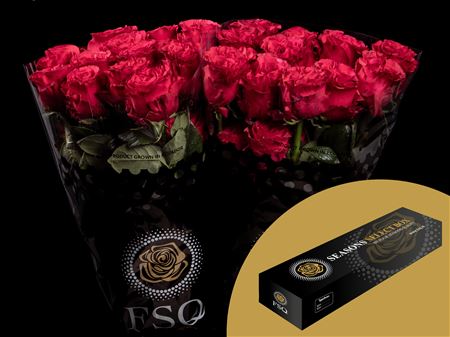 R Gr Exotix Berry Box